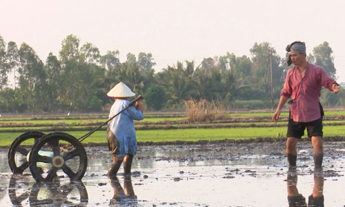 Thú vị Xuân Bắc, Minh Khang đưa con đi bừa, gieo mạ